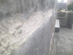 millstreet 13820.jpg